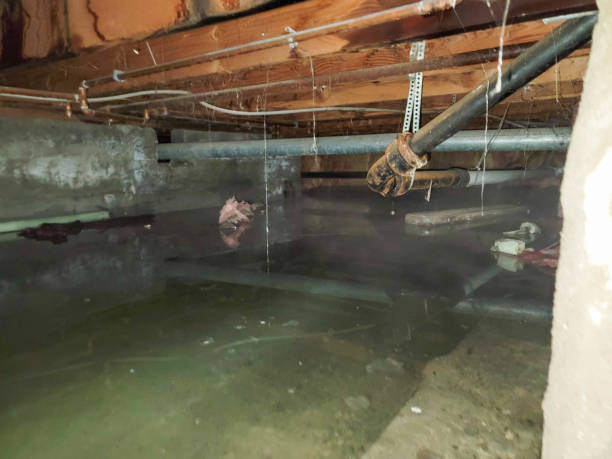 Best Local water damage restoration  in Redmond, WA