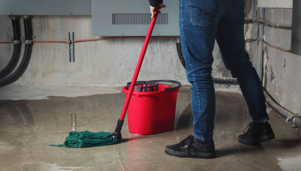 Best Flood restoration services  in Redmond, WA