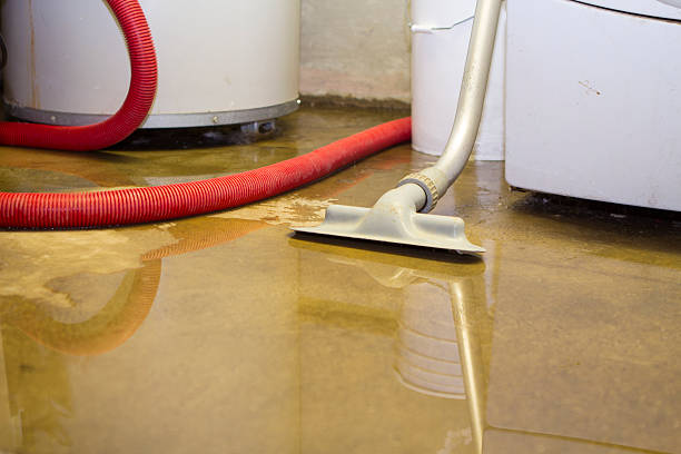 Best Sewage cleanup and water damage restoration  in Redmond, WA