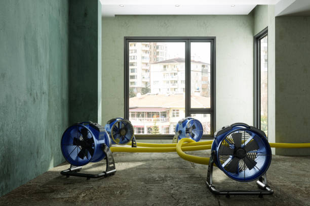 Best Residential water damage restoration  in Redmond, WA